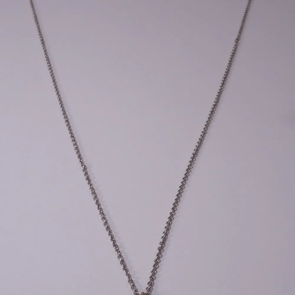 Ann taylor LOFT Gold Silver Pendant Necklace NWT 39.50